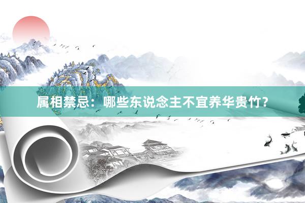 属相禁忌：哪些东说念主不宜养华贵竹？