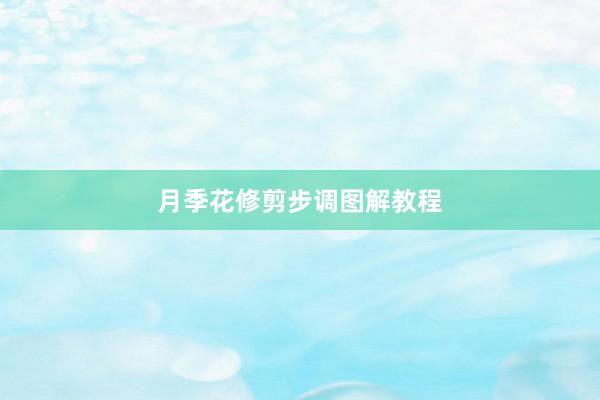 月季花修剪步调图解教程